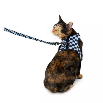 Whisker City® Cat Leash & Cat Harness, Combo, Kitten Size Avaibale, Blue Checkered - Image 2