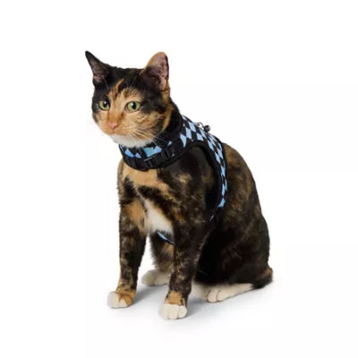 Whisker City® Cat Leash & Cat Harness, Combo, Kitten Size Avaibale, Blue Checkered - Image 3
