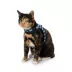 Whisker City® Cat Leash & Cat Harness, Combo, Kitten Size Avaibale, Blue Checkered image thumbnail 3