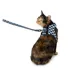 Whisker City® Pink Checkered Kitten Harness and Leash Combo Set image thumbnail 2