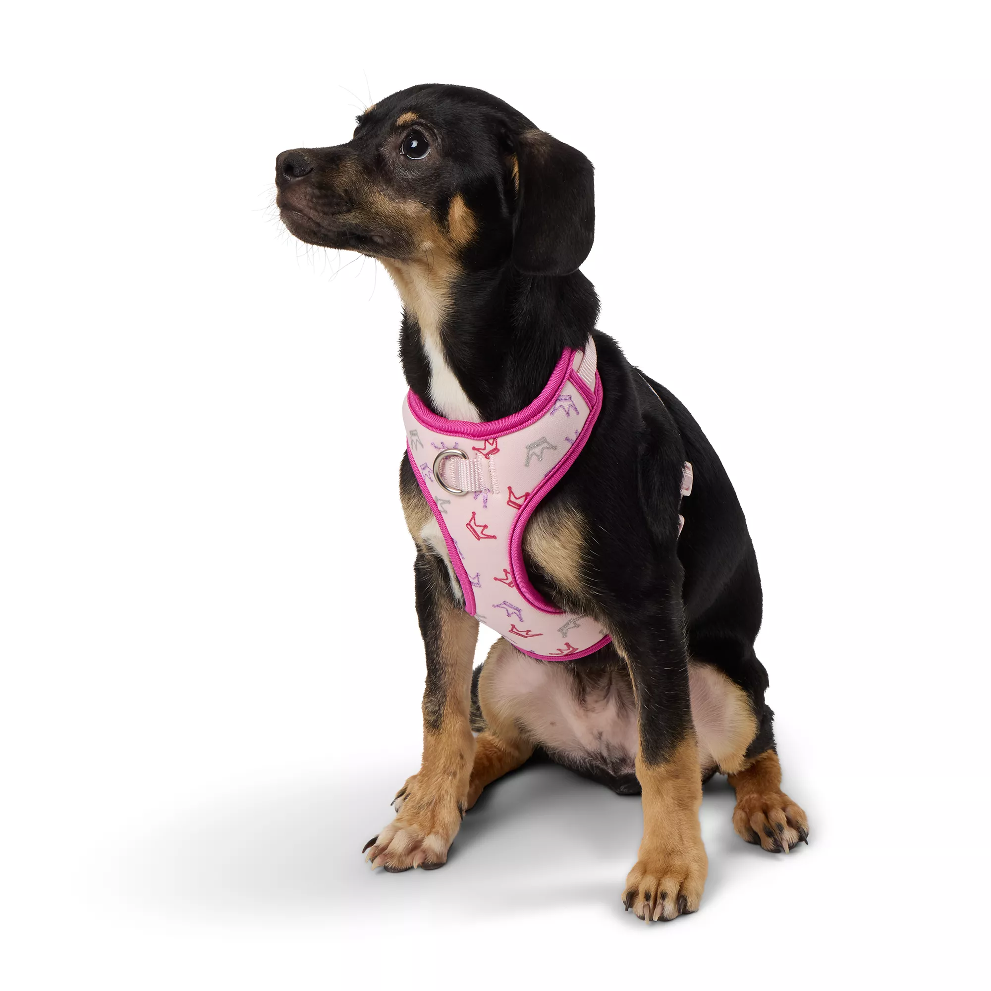 Top Paw Princess Dog Harness