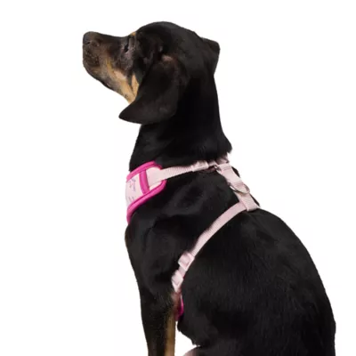 Top Paw® Princess Dog Harness - Image 2