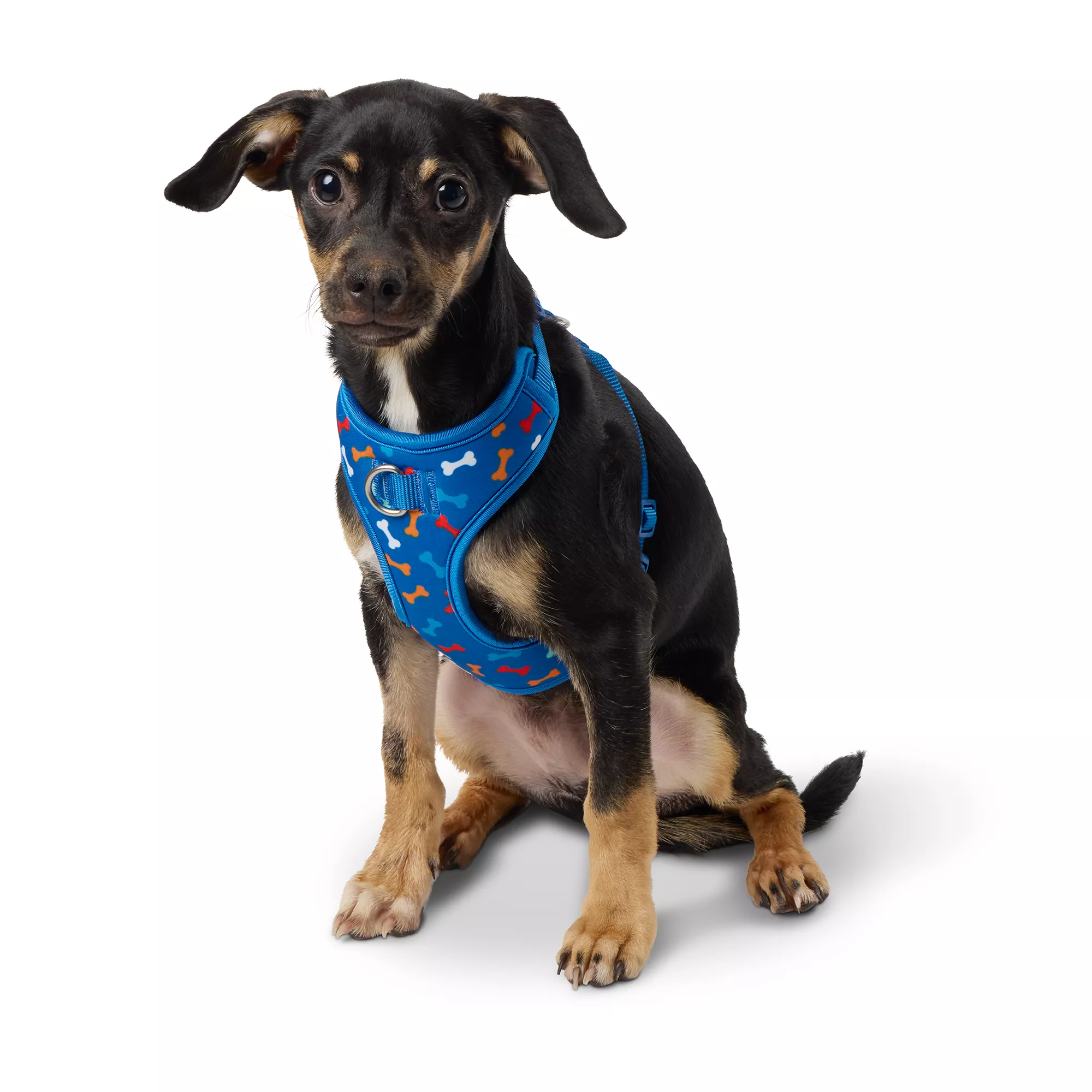 Top Paw Blue Bones Comfort Dog Harness