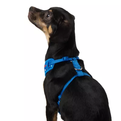 Top Paw® Bones Comfort Dog Harness - Image 2