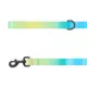 Product Top Paw Blue & Yellow Ombre Dog Leash