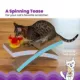 Product Catstages Spinning Catnip Scratch Toy