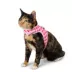 Whisker City® Cat Leash & Cat Harness, Combo, Kitten Size Avaibale, Pink Checkered image thumbnail 3
