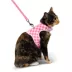 Whisker City® Pink Checkered Cat Harness and Leash Combo Set image thumbnail 2