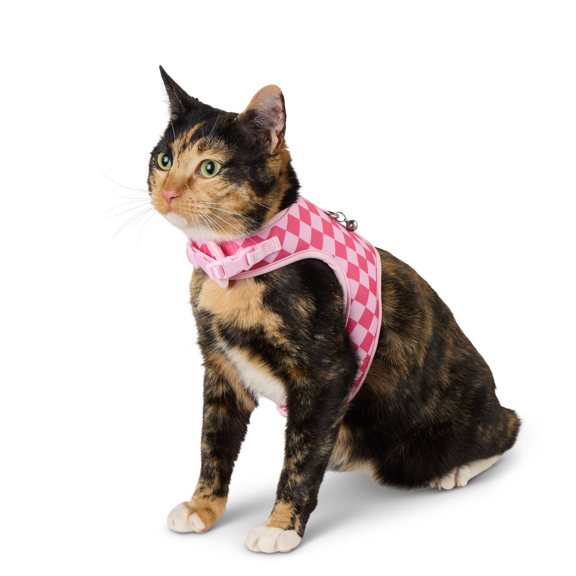 Whisker City Pink Checkered Cat Harness and Leash Combo Set PetSmart in Tustin CA
