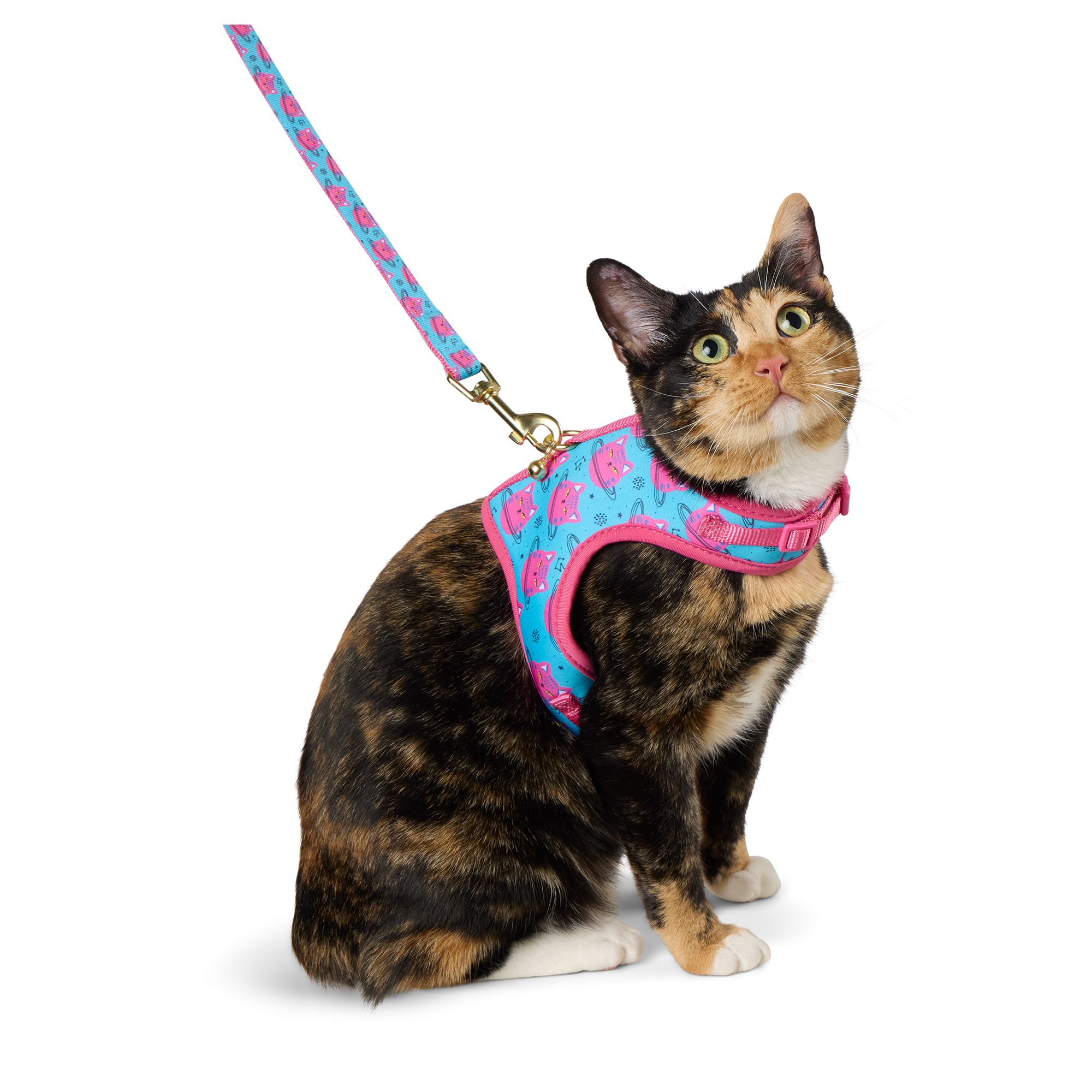 Petsmart cat harness and leash hotsell