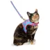 Whisker City® Cat Centric Cat Harness and Leash Combo Set image thumbnail 2