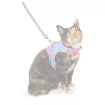 Product Whisker City Cat Centric Cat Harness and Leash Combo Set