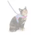 Whisker City® Cat Centric Cat Harness and Leash Combo Set image thumbnail 2