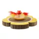 Product Catstages Daisy Scratch and Spinning Catnip Toy Bundle