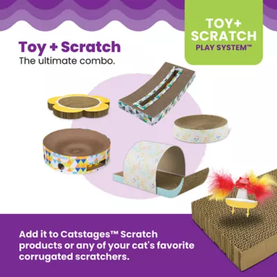 Product Catstages Daisy Scratch and Spinning Catnip Toy Bundle