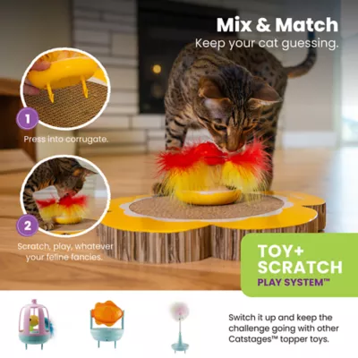 Product Catstages Daisy Scratch and Spinning Catnip Toy Bundle