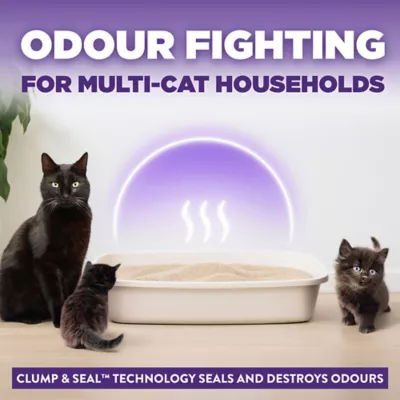 Arm & Hammer Slide Cat Litter - Clumping, Multi-Cat - Image 3
