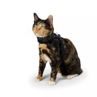 Product Whisker City Black Moon Kitten Harness and Leash Combo Set