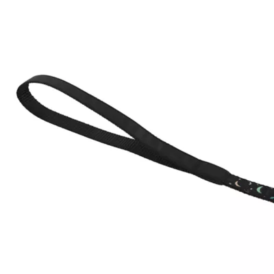 Product Whisker City Black Moon Kitten Harness and Leash Combo Set