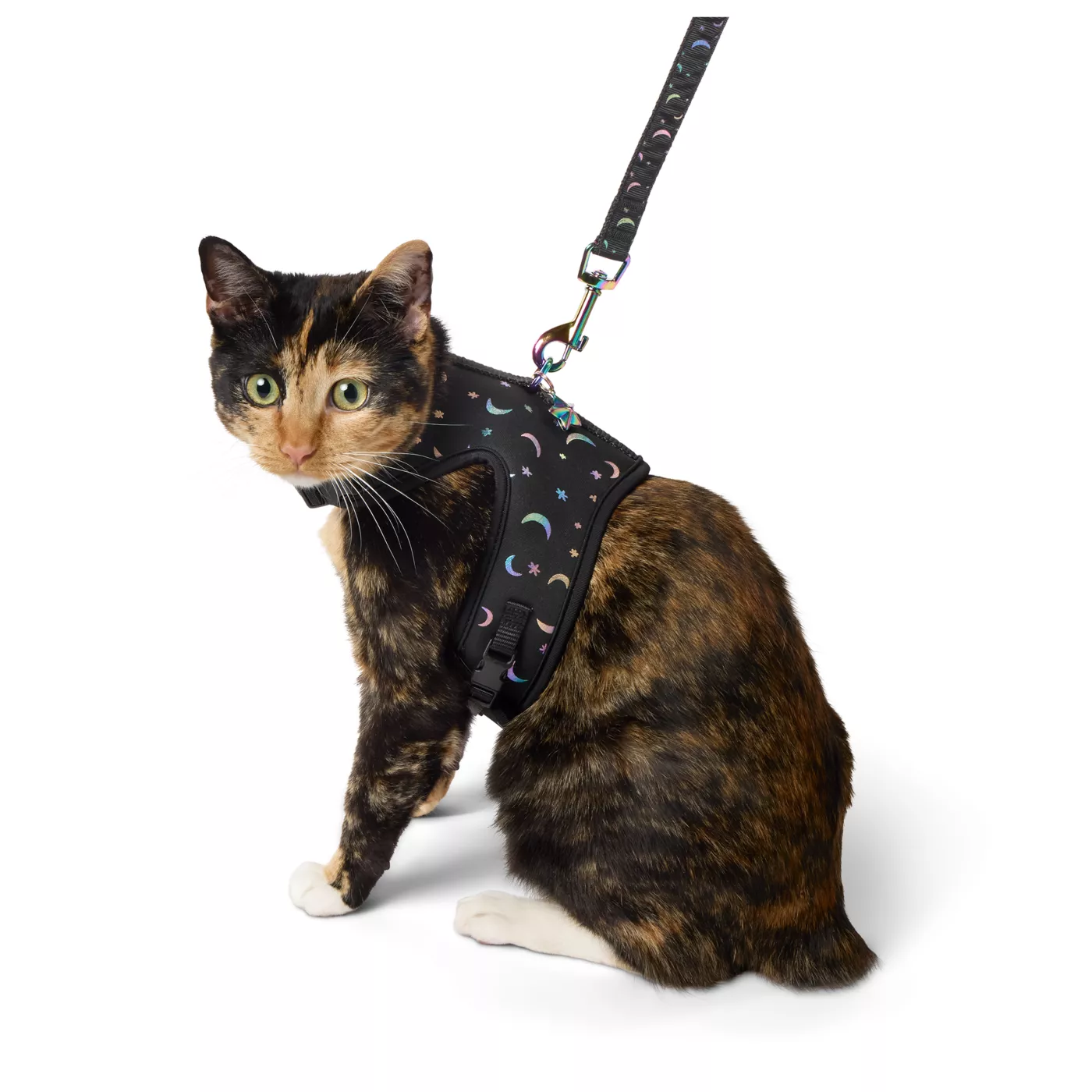 Whisker City Black Moon Kitten Harness and Leash Combo Set