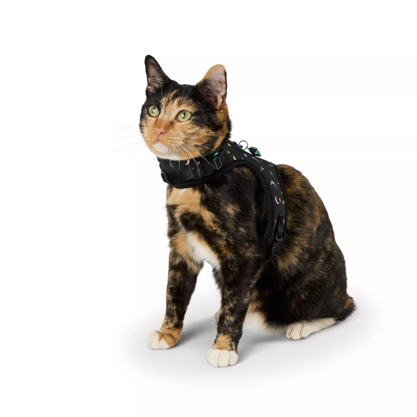 Kitten harness pets at home hotsell