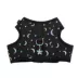 Whisker City® Black Moon Kitten Harness and Leash Combo Set image thumbnail 4