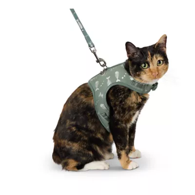Product Whisker City Fish Foil Kitten Harness and Leash Combo Set