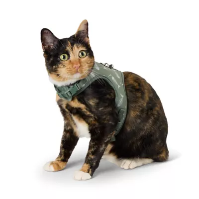 Product Whisker City Fish Foil Kitten Harness and Leash Combo Set