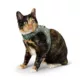 Product Whisker City Fish Foil Kitten Harness and Leash Combo Set