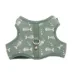 Whisker City Fish Foil Cat Harness and Leash Combo Set image thumbnail 4