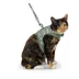 Whisker City Fish Foil Kitten Harness and Leash Combo Set image thumbnail 2