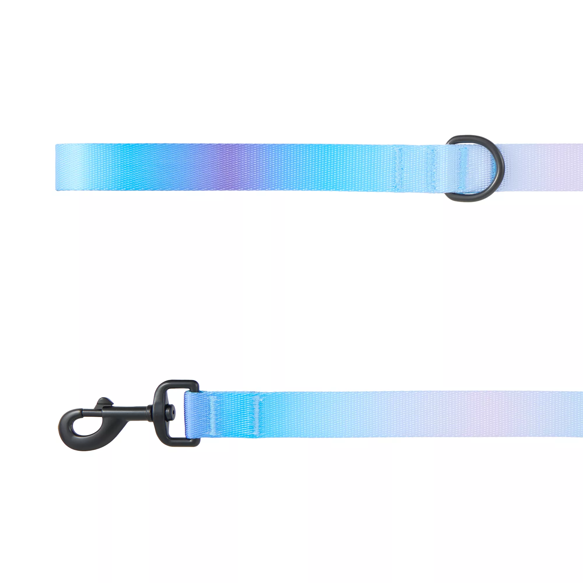 Top Paw® Ombre Dog Leash