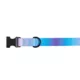 Product Top Paw Ombre Dog Collar