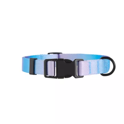 Product Top Paw Ombre Dog Collar