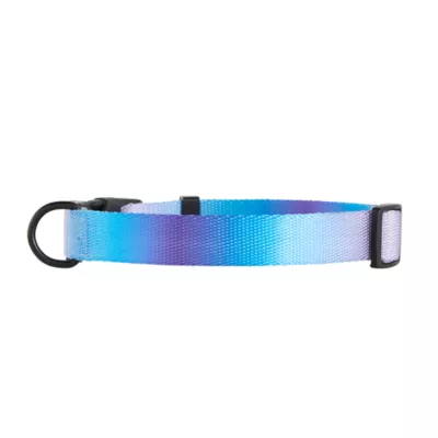 Product Top Paw Ombre Dog Collar