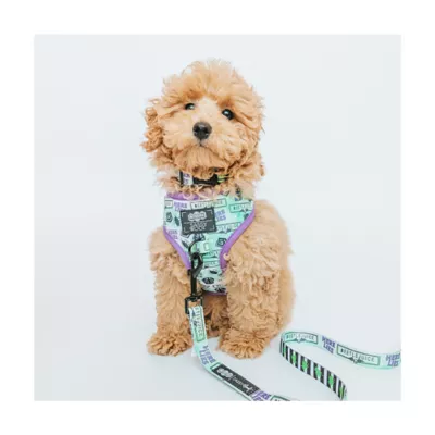 Product Sassy Woof Beetlejuice Adjustable Dog Leash