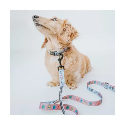 Product Sassy Woof Harry Potter Adjustable Dog Leash