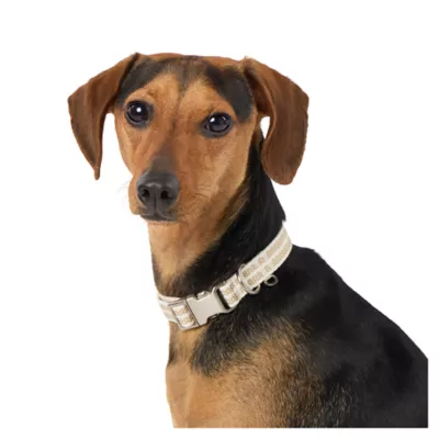 Product Top Paw® Woven Fashion Dog Collar