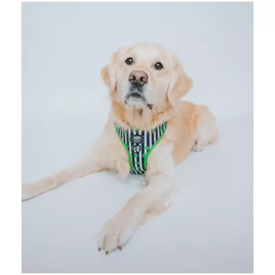 Product Sassy Woof Beetlejuice Adjustable Dog Harness