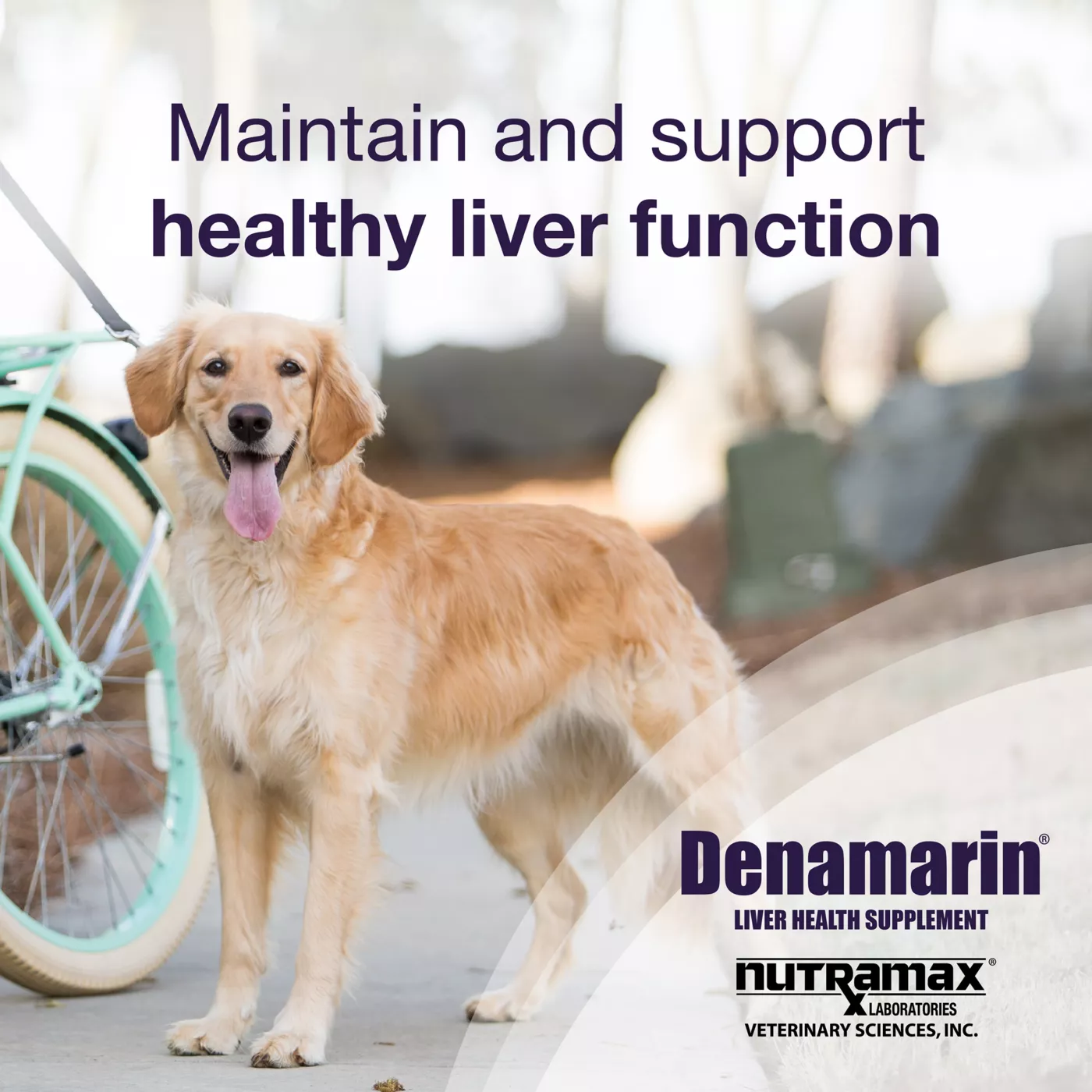 Nutramax Laboratories Veterinary Sciences Denamarin Liver Health Supplements