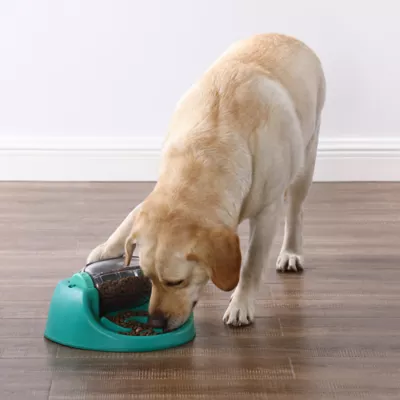 Petsmart puzzle feeder best sale