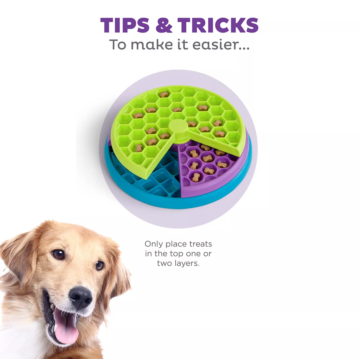 Dog puzzle feeder petsmart 2025