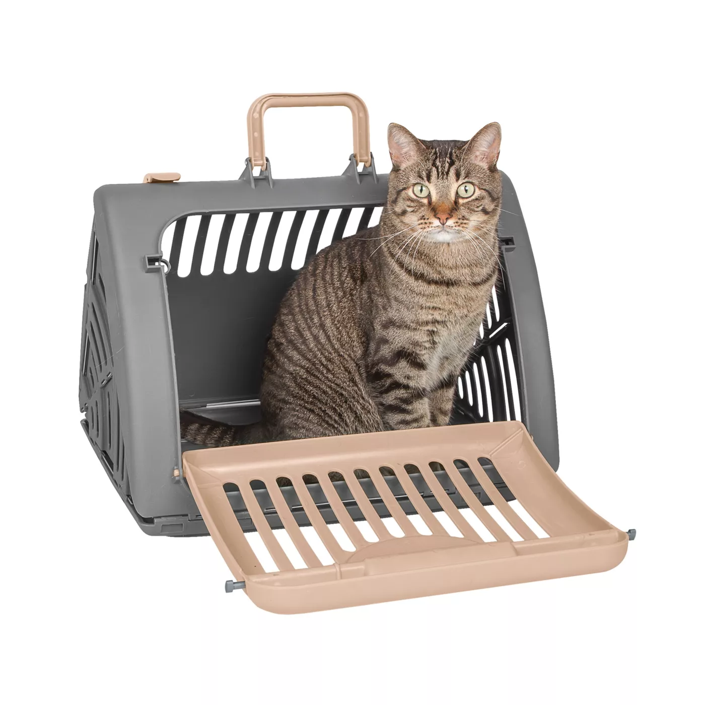 Best cat travel carrier best sale