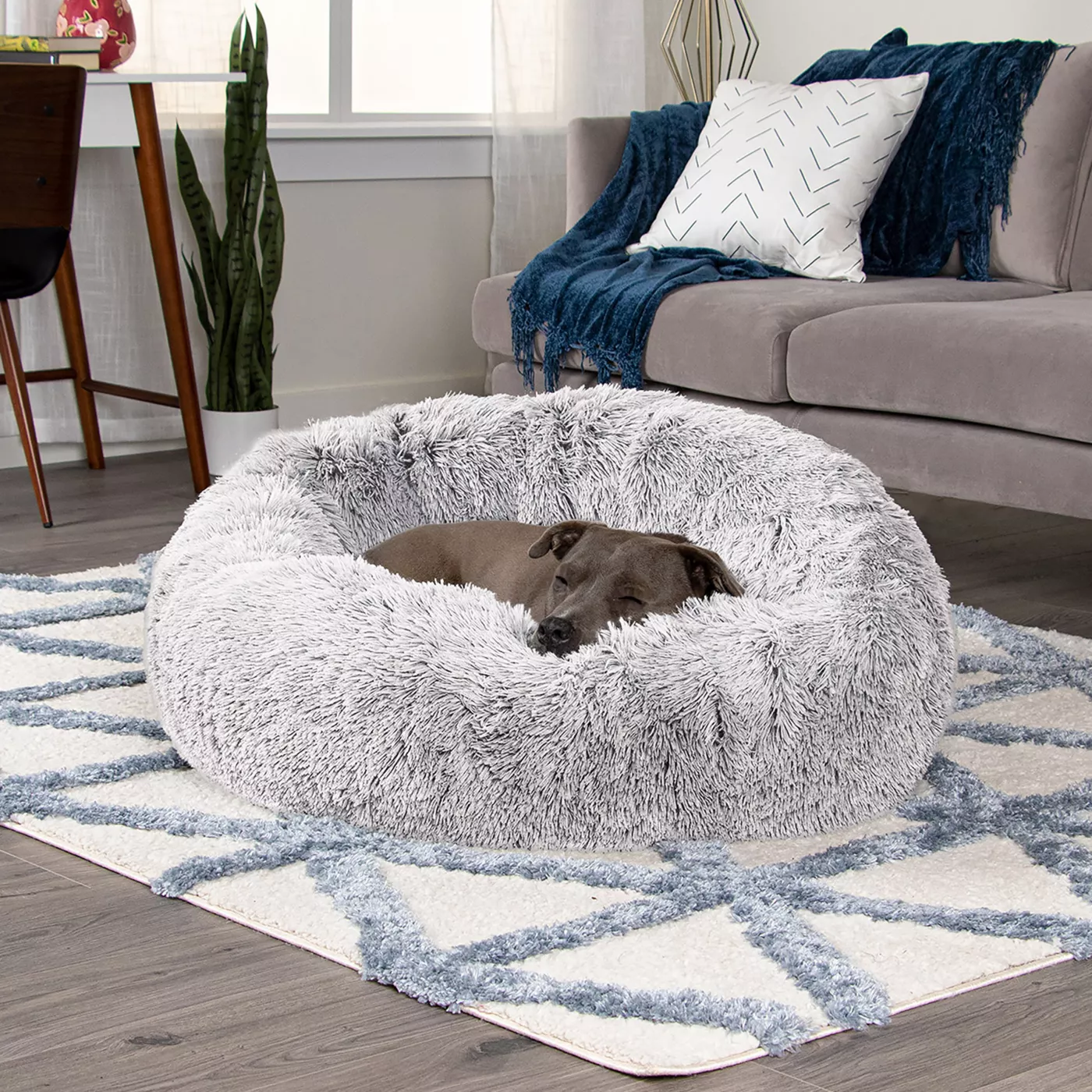 Donut cuddler dog bed hotsell