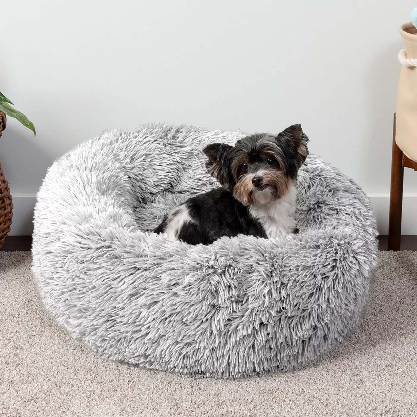 Donut cuddler dog bed best sale