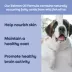 YumWell™ Dog Skin and Coat Salmon Oil Formula image thumbnail 2