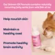 Product YumWell™ Cat Skin and Coat Salmon Oil Formula