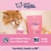 YumWell™ Cat Skin and Coat Salmon Oil Formula image thumbnail 3
