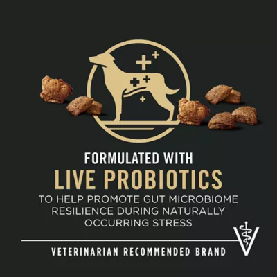 Product Purina Pro Plan Complete Essentials Shredded Blend Adult Dog Dry Food - Lamb & Rice