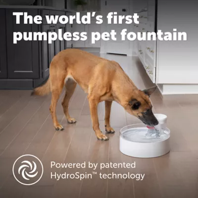 Product PetSafe® Outlast Pumpless Water Fountain 128 oz - Dishwasher Safe - Water Filter Included